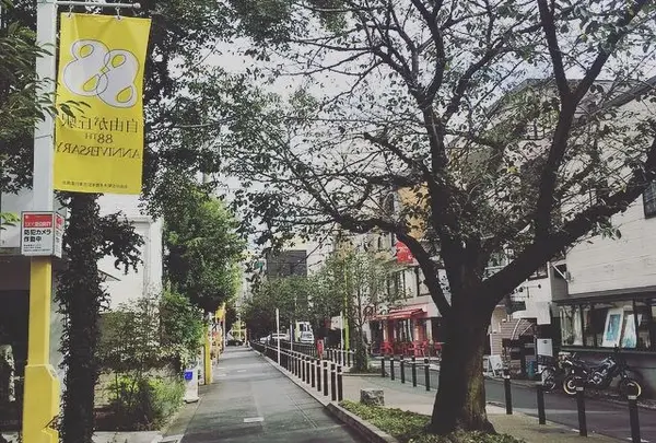九品仏川緑道 / グリーンストリートの写真・動画_image_162860