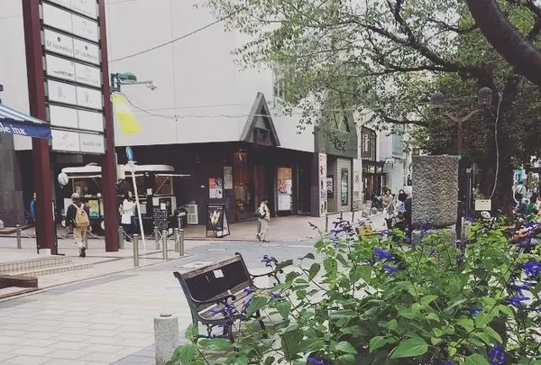 九品仏川緑道 / グリーンストリートの写真・動画_image_162863