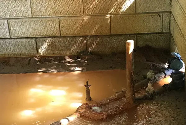 篭坊温泉の写真・動画_image_162944