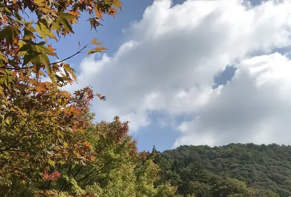 篭坊温泉の写真・動画_image_162945