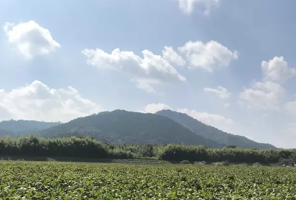 八上上の写真・動画_image_162959