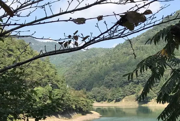 鍔市ダムの写真・動画_image_162962