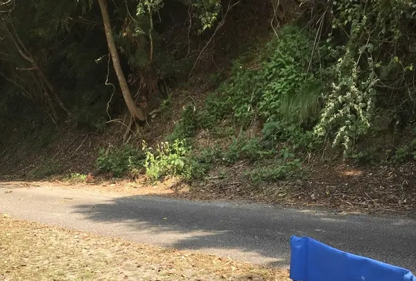 鍔市ダムの写真・動画_image_162963