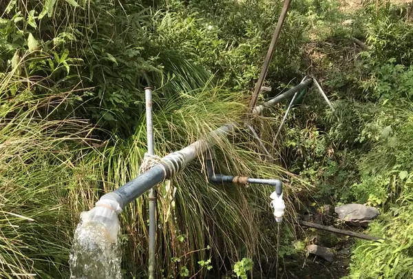 鍔市ダムの写真・動画_image_162964