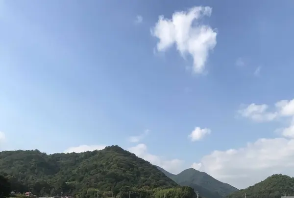 三田市の写真・動画_image_162966