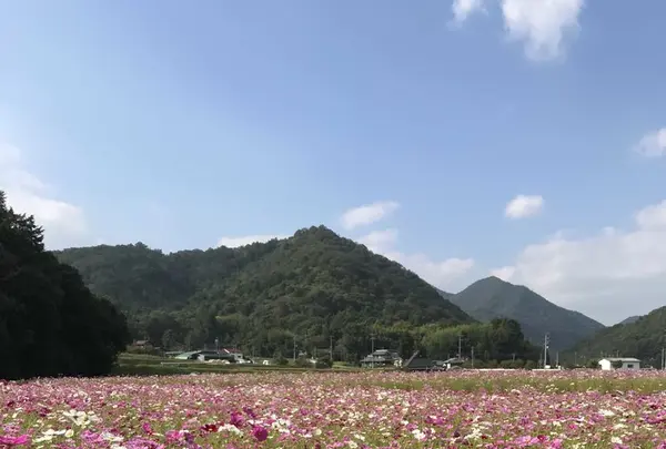 三田市の写真・動画_image_162967