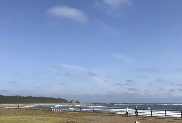 君ケ浜しおさい公園の写真・動画_image_163084