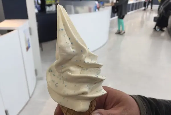 オホーツク流氷館の写真・動画_image_163211