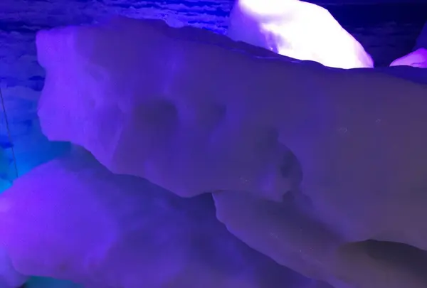 オホーツク流氷館の写真・動画_image_163213