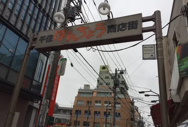だんごの美好の写真・動画_image_163283