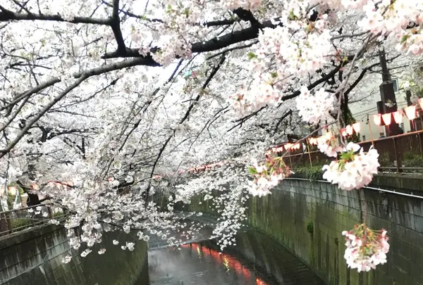 目黒天空庭園の写真・動画_image_163294