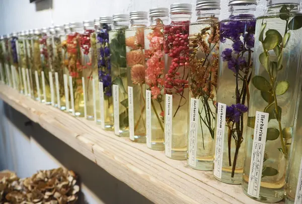 LUFF Flower&PlantsWORKSの写真・動画_image_163405