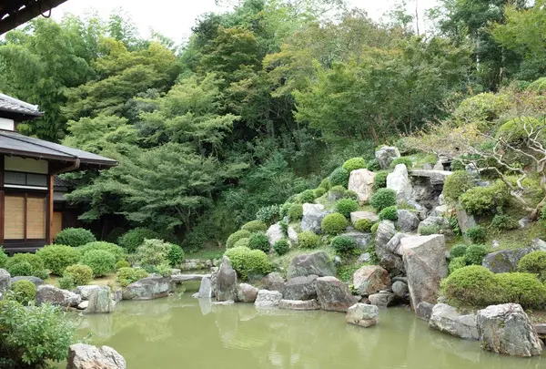 智積院の写真・動画_image_163491