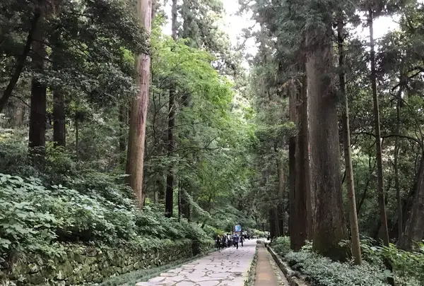 瑞鳳殿（仙台藩租伊達政宗公御廟）の写真・動画_image_163539