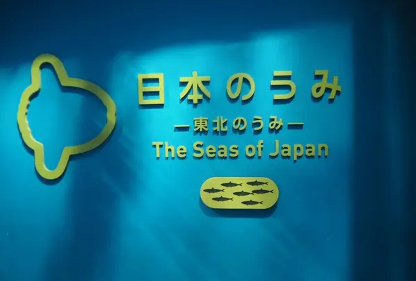 仙台うみの杜水族館の写真・動画_image_163543