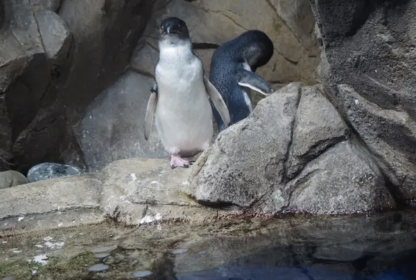 仙台うみの杜水族館の写真・動画_image_163545