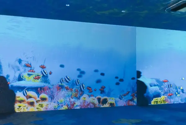 仙台うみの杜水族館の写真・動画_image_163547