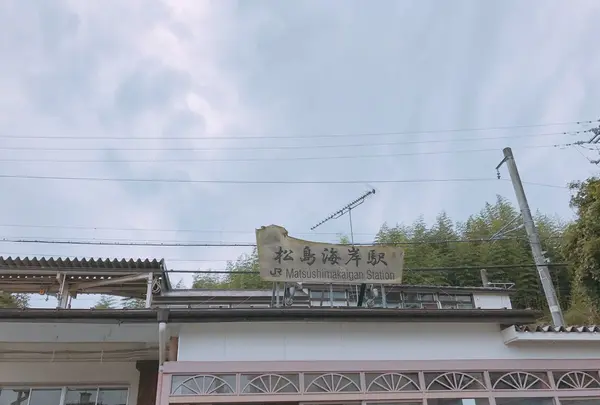 松島の写真・動画_image_163550