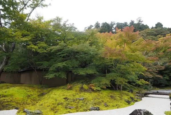 円通院の写真・動画_image_163556