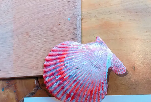 離島キッチンの写真・動画_image_163568