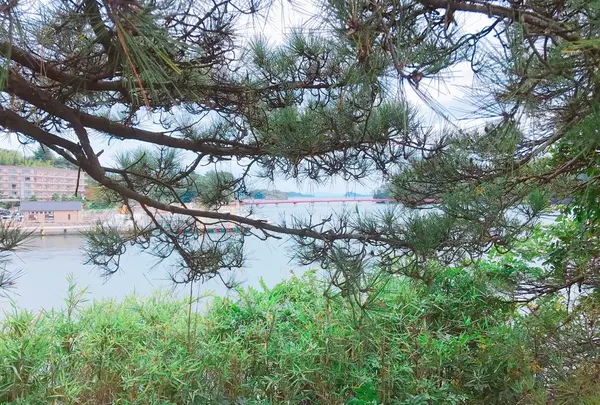 五大堂の写真・動画_image_163581