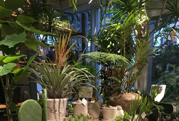 IDEE SHOP自由が丘店(イデーショップ自由が丘店)の写真・動画_image_163593