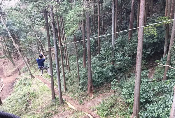 フォレストアドベンチャー・箱根の写真・動画_image_164016