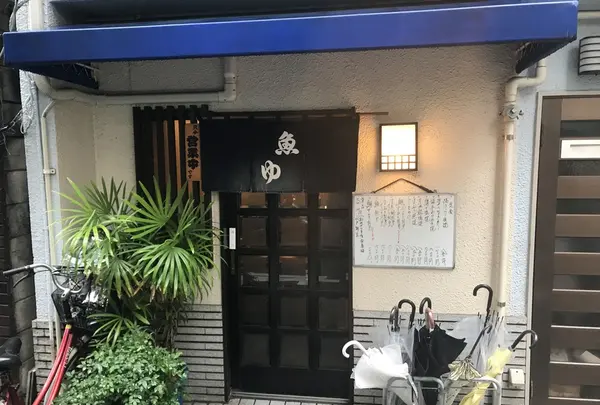 魚ゆの写真・動画_image_164043