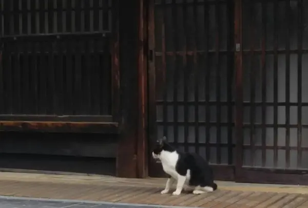 たけはら町並み保存地区の写真・動画_image_164057