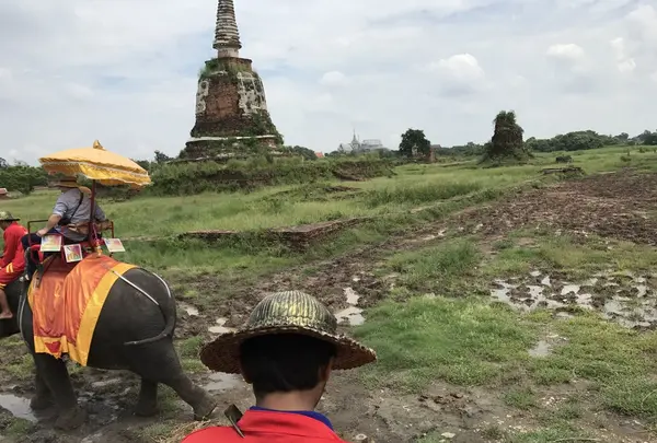 アユタヤ・エレファント・キャンプの写真・動画_image_164239