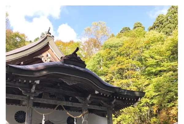 戸隠神社中社の写真・動画_image_164377