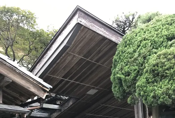 割烹吉源の写真・動画_image_164383