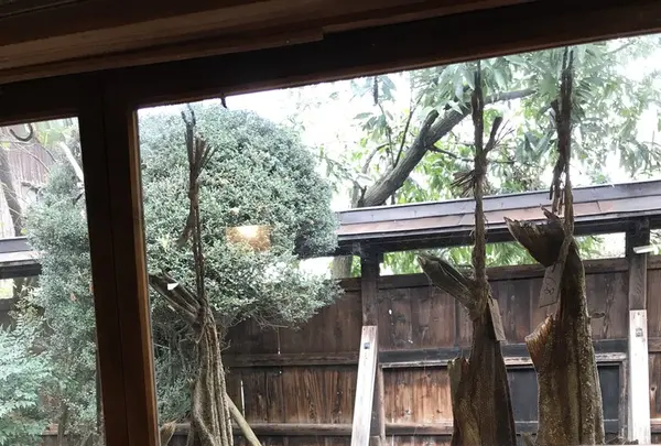 割烹吉源の写真・動画_image_164385