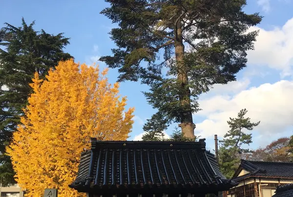 金沢市立玉川図書館の写真・動画_image_164605