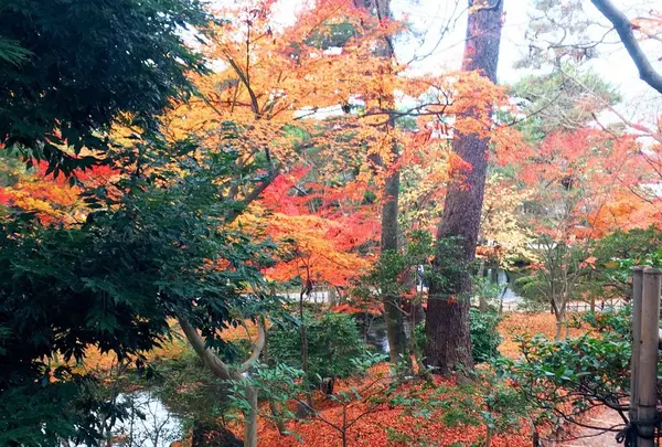 兼六園の写真・動画_image_164608