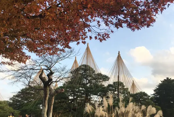 兼六園の写真・動画_image_164610