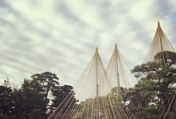 兼六園の写真・動画_image_164633