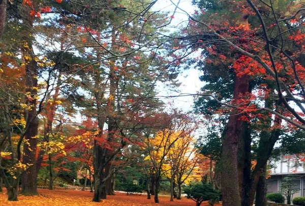 兼六園の写真・動画_image_164634