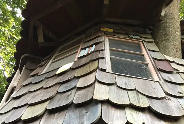 東北ツリーハウス観光協会3号ツリーハウスの写真・動画_image_164651