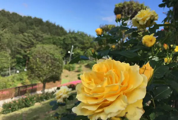 女川原子力ＰＲセンターの写真・動画_image_164660