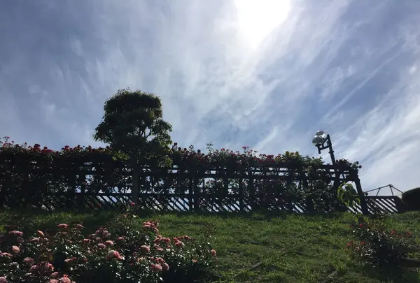 女川原子力ＰＲセンターの写真・動画_image_164661