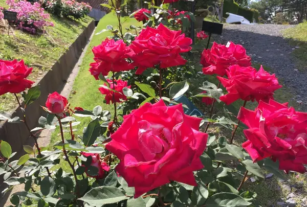 女川原子力ＰＲセンターの写真・動画_image_164662