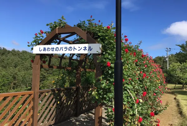 女川原子力ＰＲセンターの写真・動画_image_164663