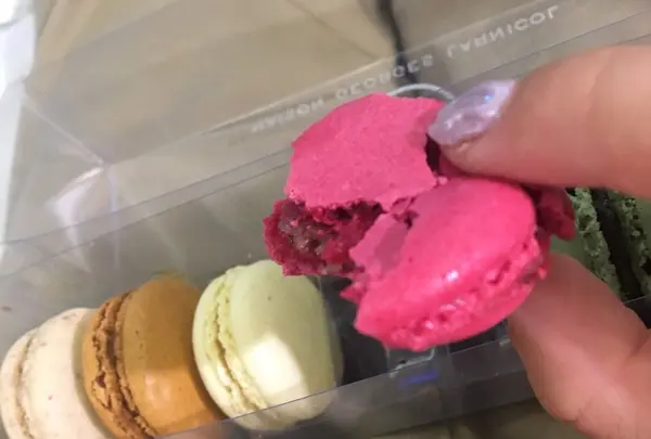 Maison Georges Larnicolの写真・動画_image_164705