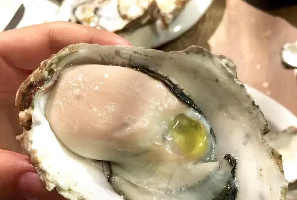 オイスターバル ボノ（ｂｏｎｏ）の写真・動画_image_164761