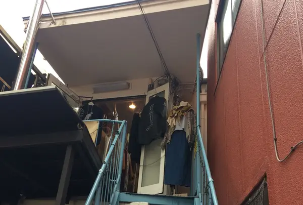 tropeの写真・動画_image_164793