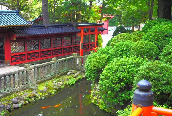 根津神社の写真・動画_image_164801