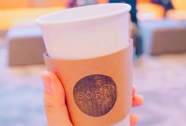 SORA terrace（ソラテラス）の写真・動画_image_164815