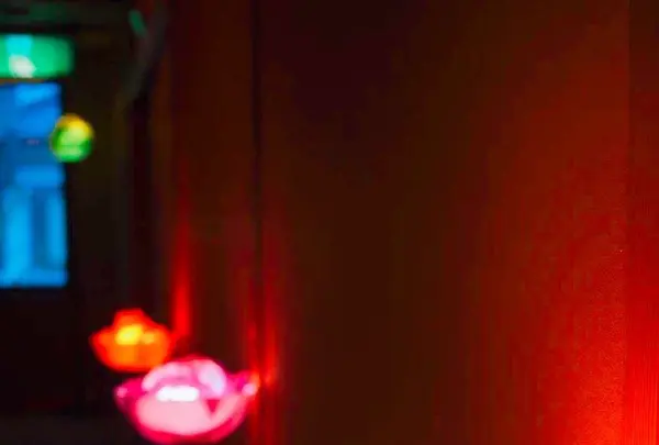 信州湯田中温泉 華灯りの宿 加命の湯の写真・動画_image_164821