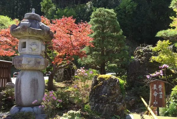 秩父温泉・満願の湯の写真・動画_image_164853